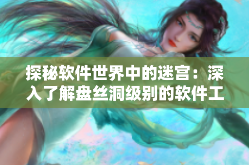 探秘軟件世界中的迷宮：深入了解盤絲洞級(jí)別的軟件工程