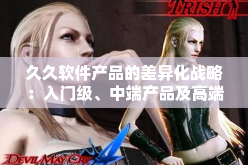 久久軟件產品的差異化戰(zhàn)略：入門級、中端產品及高端產品介紹