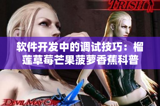 軟件開發(fā)中的調試技巧：榴蓮草莓芒果菠蘿香蕉科普