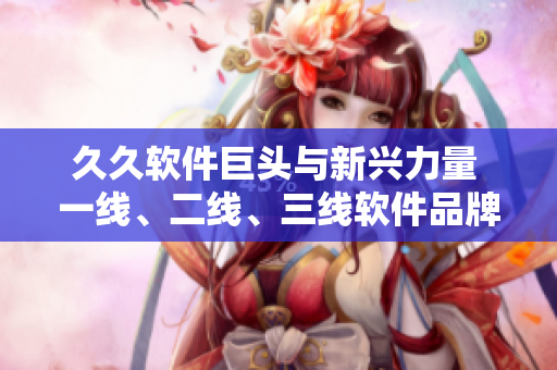 久久軟件巨頭與新興力量 一線、二線、三線軟件品牌盤點(diǎn)