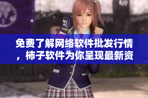 免費了解網(wǎng)絡(luò)軟件批發(fā)行情，柿子軟件為你呈現(xiàn)最新資訊