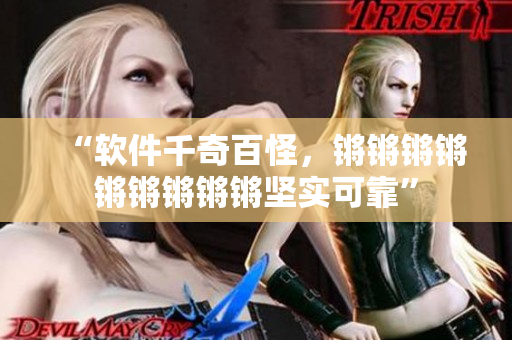 “軟件千奇百怪，鏘鏘鏘鏘鏘鏘鏘鏘鏘堅(jiān)實(shí)可靠”