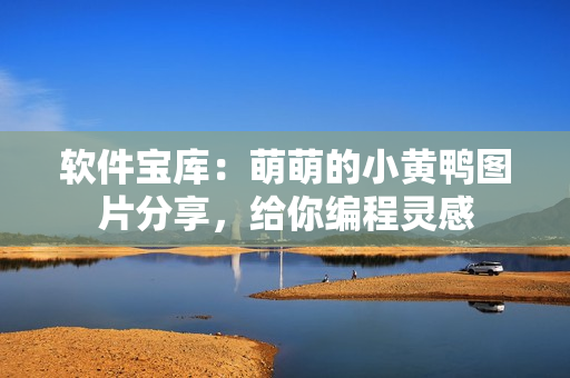 軟件寶庫：萌萌的小黃鴨圖片分享，給你編程靈感