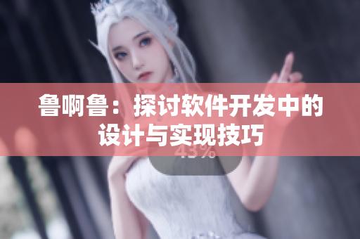 魯啊魯：探討軟件開發(fā)中的設(shè)計與實現(xiàn)技巧