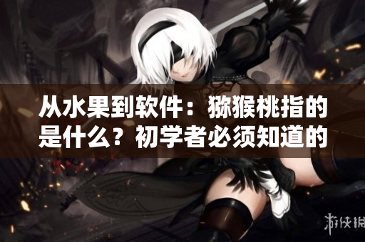 從水果到軟件：獼猴桃指的是什么？初學(xué)者必須知道的軟件術(shù)語解析！