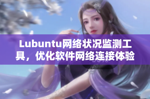 Lubuntu網(wǎng)絡(luò)狀況監(jiān)測工具，優(yōu)化軟件網(wǎng)絡(luò)連接體驗