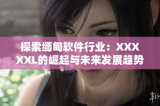 探索緬甸軟件行業(yè)：XXXXXL的崛起與未來發(fā)展趨勢(shì)