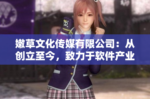 嫩草文化傳媒有限公司：從創(chuàng)立至今，致力于軟件產(chǎn)業(yè)發(fā)展