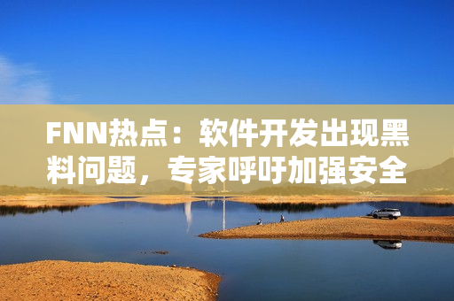 FNN熱點(diǎn)：軟件開發(fā)出現(xiàn)黑料問題，專家呼吁加強(qiáng)安全管理