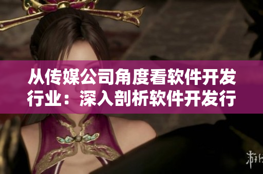 從傳媒公司角度看軟件開發(fā)行業(yè)：深入剖析軟件開發(fā)行業(yè)熱點(diǎn)與趨勢(shì)