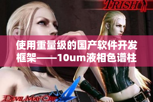使用重量級(jí)的國(guó)產(chǎn)軟件開發(fā)框架——10um液相色譜柱技術(shù)