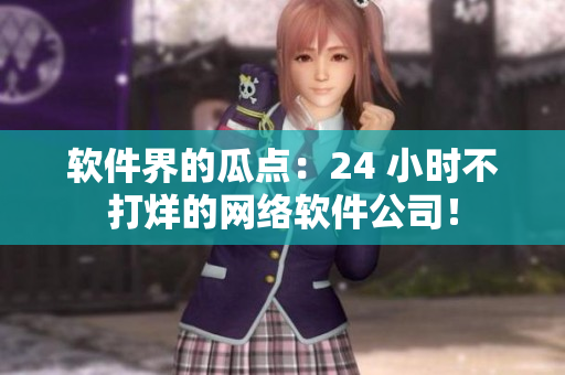 軟件界的瓜點(diǎn)：24 小時(shí)不打烊的網(wǎng)絡(luò)軟件公司！