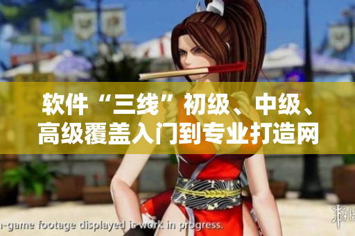軟件“三線”初級(jí)、中級(jí)、高級(jí)覆蓋入門到專業(yè)打造網(wǎng)絡(luò)軟件全指南