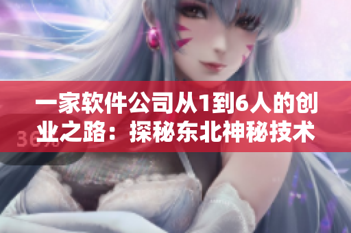 一家軟件公司從1到6人的創(chuàng)業(yè)之路：探秘東北神秘技術(shù)背后的故事