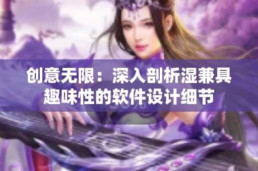 創(chuàng)意無限：深入剖析濕兼具趣味性的軟件設(shè)計細節(jié)