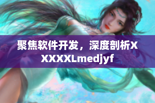 聚焦軟件開發(fā)，深度剖析XXXXXLmedjyf
