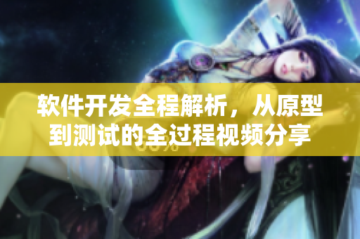 軟件開發(fā)全程解析，從原型到測試的全過程視頻分享