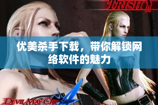 優(yōu)美殺手下載，帶你解鎖網(wǎng)絡(luò)軟件的魅力