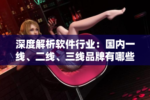 深度解析軟件行業(yè)：國內一線、二線、三線品牌有哪些？