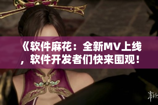 《軟件麻花：全新MV上線，軟件開發(fā)者們快來圍觀！》