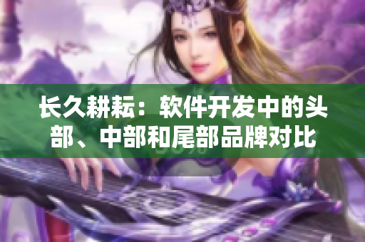 長久耕耘：軟件開發(fā)中的頭部、中部和尾部品牌對比