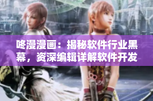 咚漫漫畫：揭秘軟件行業(yè)黑幕，資深編輯詳解軟件開發(fā)攻略！