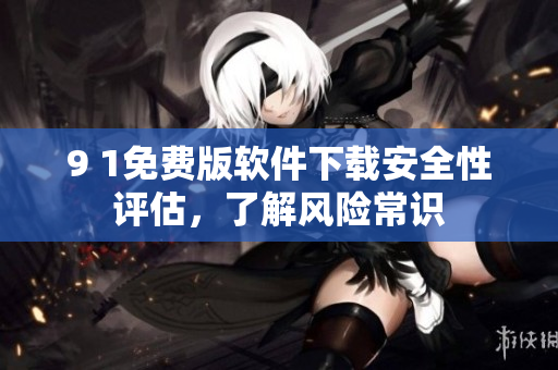 9 1免費(fèi)版軟件下載安全性評(píng)估，了解風(fēng)險(xiǎn)常識(shí)