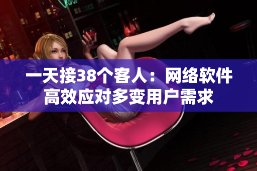 一天接38個客人：網(wǎng)絡軟件高效應對多變用戶需求