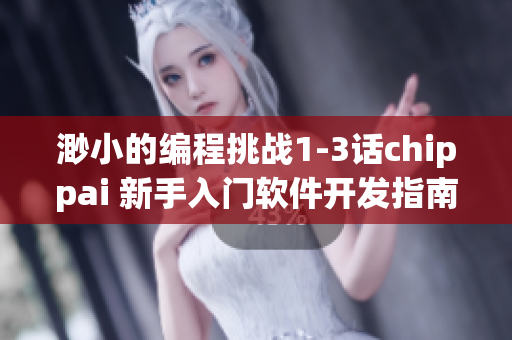 渺小的編程挑戰(zhàn)1-3話(huà)chippai 新手入門(mén)軟件開(kāi)發(fā)指南