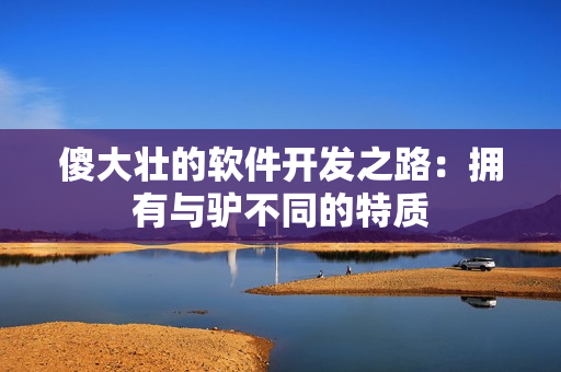 傻大壯的軟件開發(fā)之路：擁有與驢不同的特質