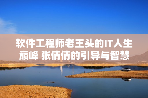 軟件工程師老王頭的IT人生巔峰 張倩倩的引導與智慧