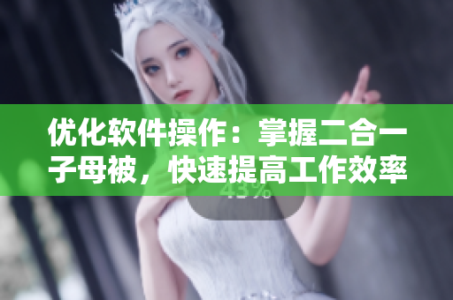 優(yōu)化軟件操作：掌握二合一子母被，快速提高工作效率