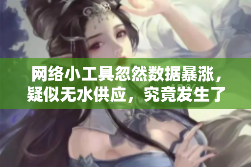 網(wǎng)絡(luò)小工具忽然數(shù)據(jù)暴漲，疑似無水供應(yīng)，究竟發(fā)生了什么？