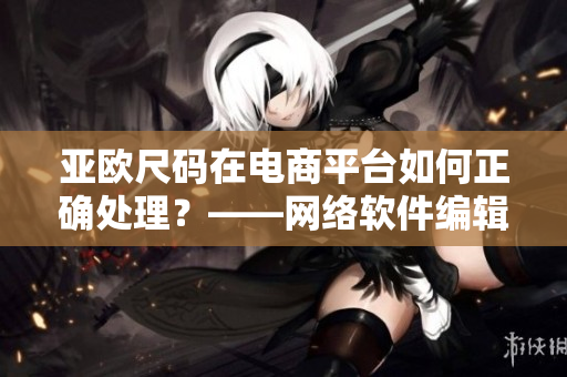 亞歐尺碼在電商平臺如何正確處理？——網(wǎng)絡(luò)軟件編輯解析