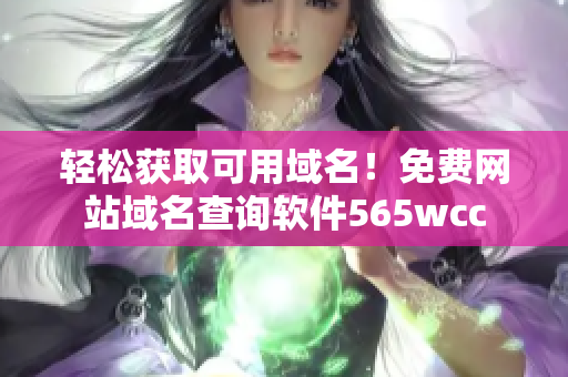 輕松獲取可用域名！免費網(wǎng)站域名查詢軟件565wcc