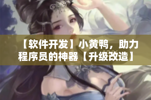 【軟件開發(fā)】小黃鴨，助力程序員的神器【升級改造】