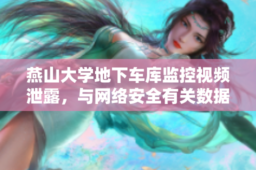 燕山大學(xué)地下車庫(kù)監(jiān)控視頻泄露，與網(wǎng)絡(luò)安全有關(guān)數(shù)據(jù)可能遭遇泄露風(fēng)險(xiǎn)。