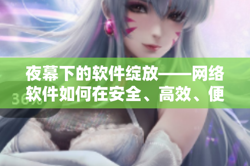 夜幕下的軟件綻放——網絡軟件如何在安全、高效、便捷中展現其重要價值