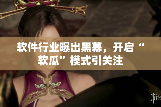 軟件行業(yè)曝出黑幕，開啟“軟瓜”模式引關注