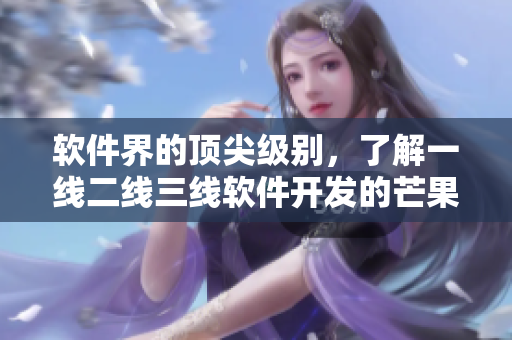 軟件界的頂尖級(jí)別，了解一線二線三線軟件開(kāi)發(fā)的芒果指南