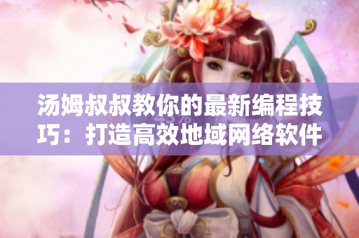 湯姆叔叔教你的最新編程技巧：打造高效地域網(wǎng)絡(luò)軟件！