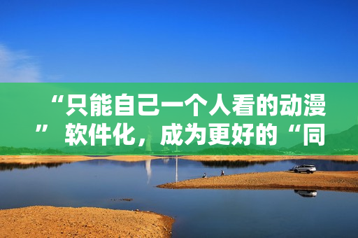 “只能自己一個(gè)人看的動漫” 軟件化，成為更好的“同步觀看器”