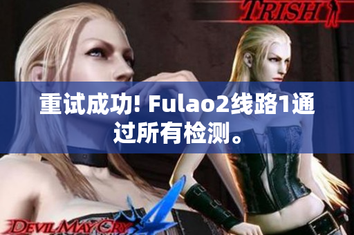 重試成功! Fulao2線路1通過(guò)所有檢測(cè)。