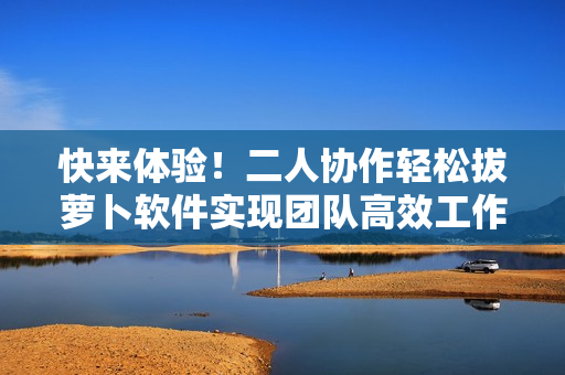 快來體驗(yàn)！二人協(xié)作輕松拔蘿卜軟件實(shí)現(xiàn)團(tuán)隊(duì)高效工作