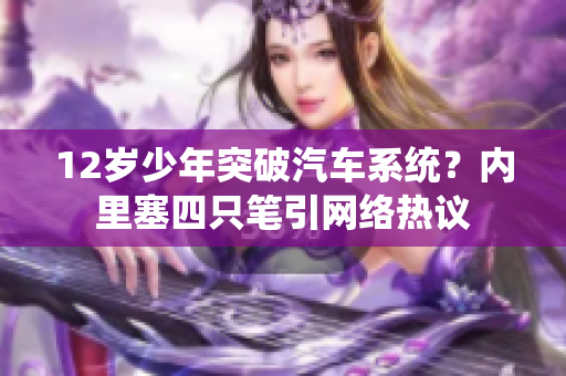 12歲少年突破汽車系統(tǒng)？?jī)?nèi)里塞四只筆引網(wǎng)絡(luò)熱議