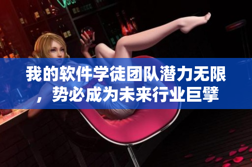 我的軟件學(xué)徒團(tuán)隊潛力無限，勢必成為未來行業(yè)巨擘