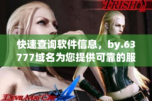 快速查詢軟件信息，by.63777域名為您提供可靠的服務(wù)