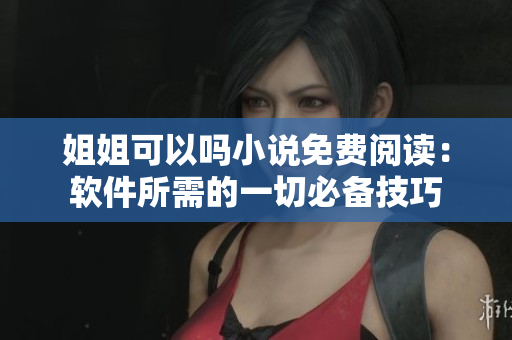 姐姐可以嗎小說免費(fèi)閱讀：軟件所需的一切必備技巧