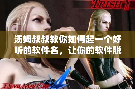 湯姆叔叔教你如何起一個(gè)好聽的軟件名，讓你的軟件脫穎而出！