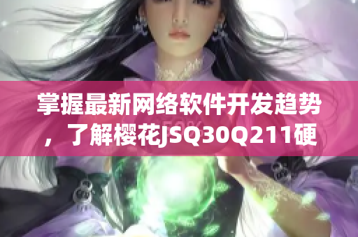 掌握最新網(wǎng)絡軟件開發(fā)趨勢，了解櫻花JSQ30Q211硬件與軟件技術
